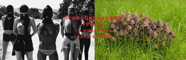 мескалин Михайлов