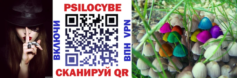 Купить где  Бердск  Псилоцибиновые грибы Cubensis 